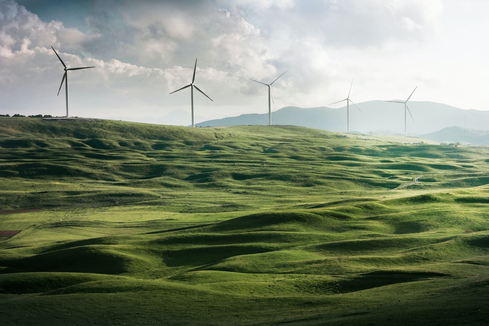 Energia wiatrowa - farma wiatraków