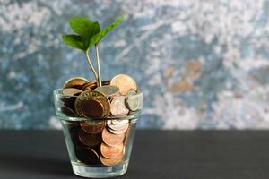 Finansowanie ekologii. Zdjęcie UNSPLASH Micheile Dot Com