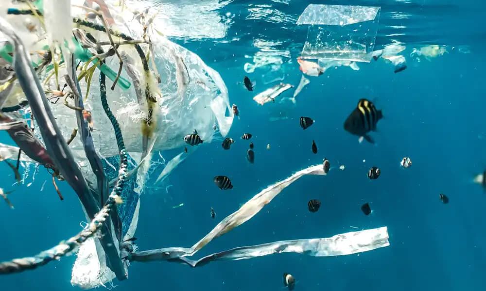 Plastik w oceanach zagraża środowisku