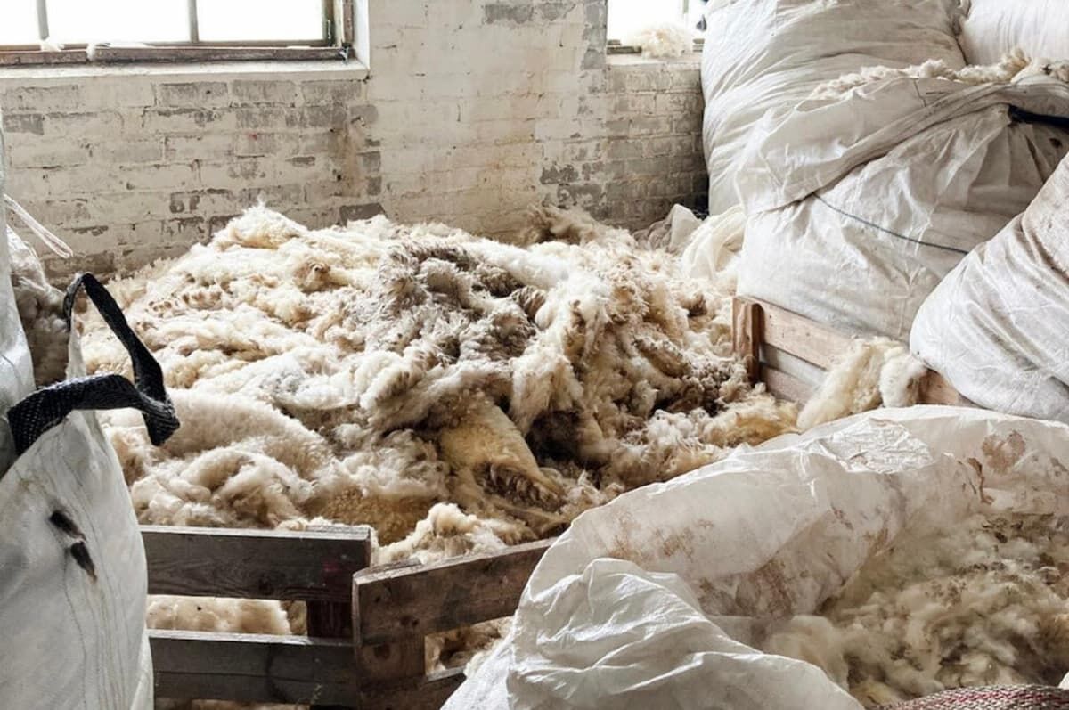 Wełna z recyklingu do produkcji eko opakowań WOOLA