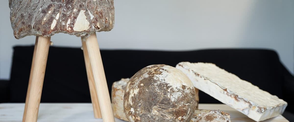 Biomateriały z grzybni, MYCEEN materiał przyszłości